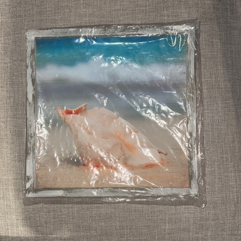 Beach Seashell Wall Art